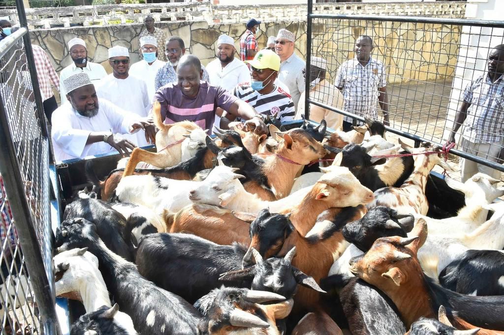 DP William Ruto donates goats for Eid Ul Adha celebrations