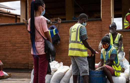 World Food Programme (WFP)