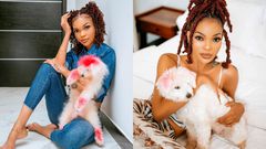 Actress Wema Sepetu offers Tsh. 2 Million to whoever will find her lost Dog ‘Vanilla”