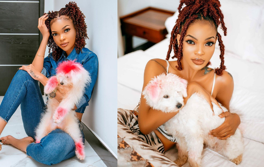 Actress Wema Sepetu offers Tsh. 2 Million to whoever will find her lost Dog ‘Vanilla”
