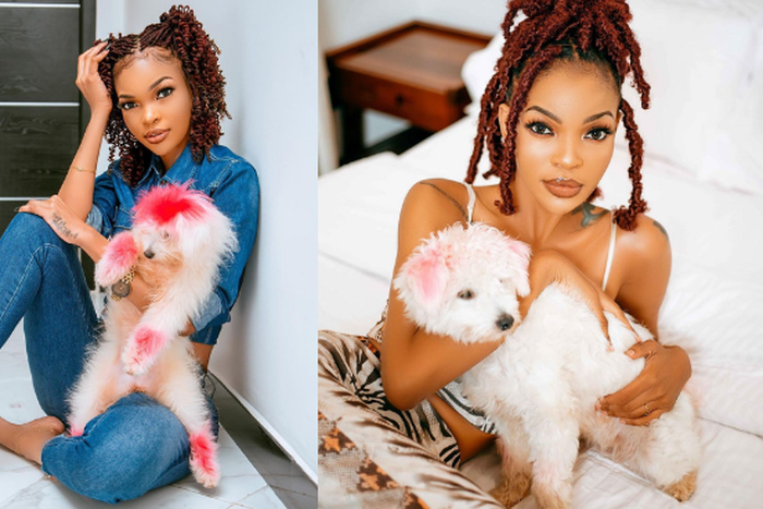 Actress Wema Sepetu offers Tsh. 2 Million to whoever will find her lost Dog ‘Vanilla”