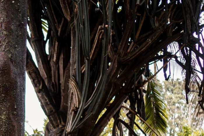 Gospel singer and male stylist Ben Cyco weds longtime girlfriend Wanjiru Njiru [PHOTOS: Ciku Nyawira]