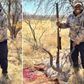 Kenyan Ambassador to Namibia Benjamin Langat under fire for engaging in game hunting