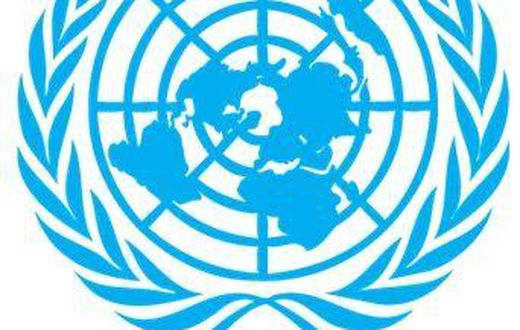 Mission de l'Organisation des Nations unies en République démocratique du Congo (MONUSCO)