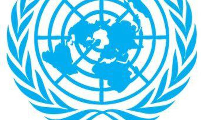 Mission de l'Organisation des Nations unies en République démocratique du Congo (MONUSCO)