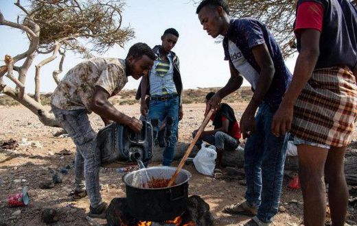 International Organization for Migration (IOM)