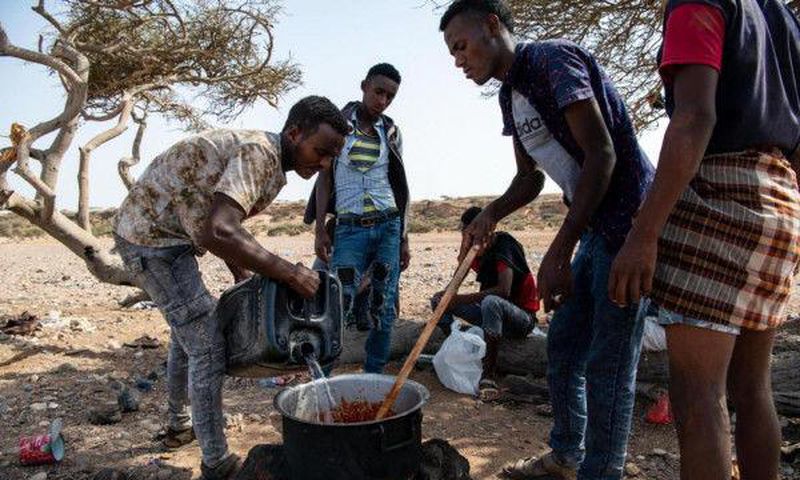 International Organization for Migration (IOM)