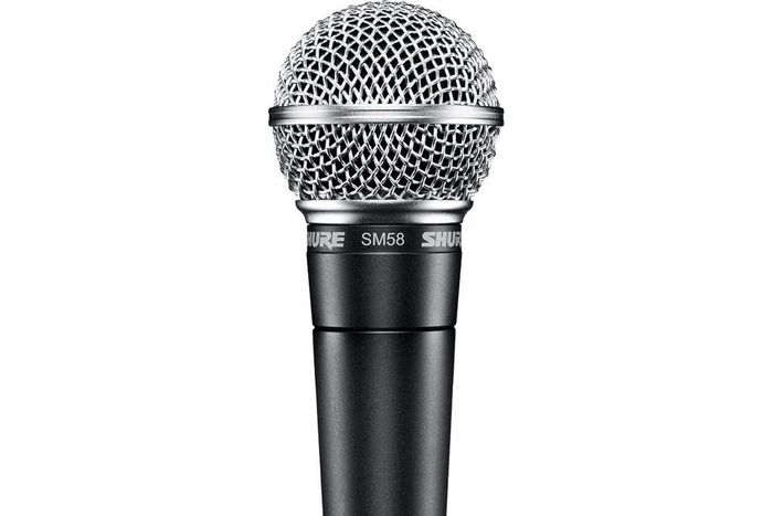 Microphone [Credit - B&H]