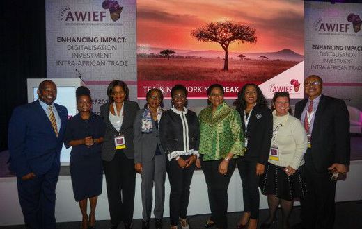 Africa Women Innovation and Entrepreneurship Forum (AWIEF)