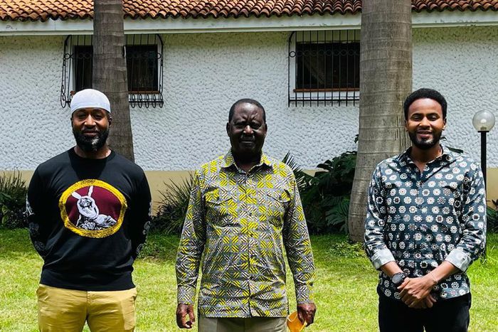 Hassan Joho, Sen. Abdul Haji visit Raila Odinga at his Karen residence (Photos)