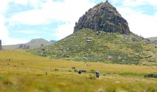 Mount Satima (kenyanbackpacker.com)