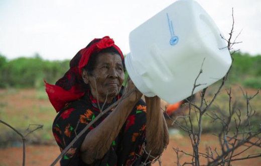 Food and Agriculture Organization (FAO)
