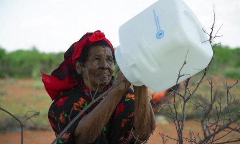Food and Agriculture Organization (FAO)