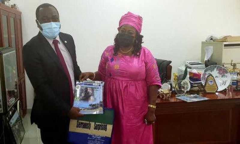 United Nations Sierra Leone