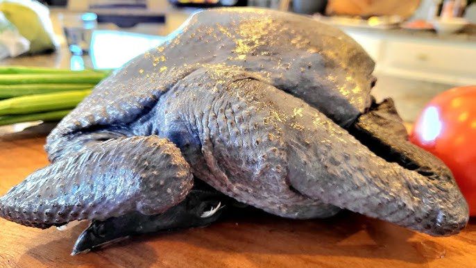 Ayam Cemani Chicken