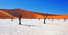 Namib Desert in Namibia