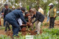 GGI founder Elizabeth Wathuti planting fruits Trees at Tree Side Special School alongside other guests invited to the handover ceremony