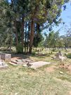 Inside Lang’ata Cemetery: Grave types and what they cost
