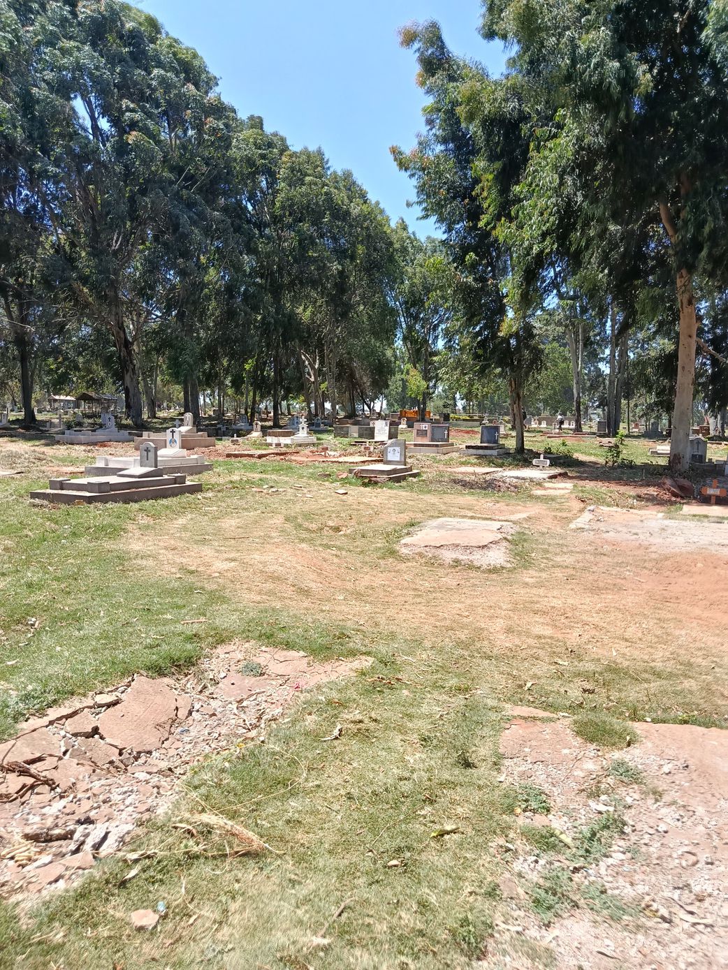 Rest in peace… if you can afford it: Breakdown of Lang’ata Cemetery fees
