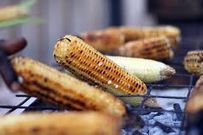 Roasted maize