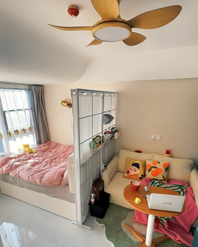 A creative room divider for a Bedsitter [Image Credit: Pinterest]