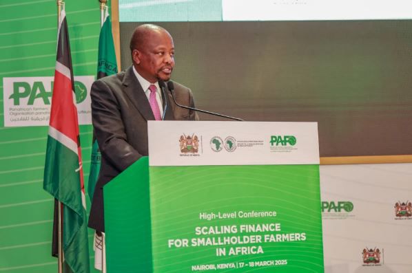 Agriculture CS Mutahi Kagwe