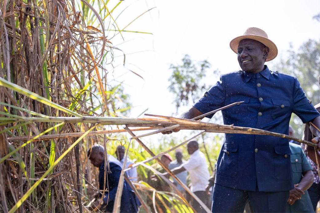 5 key interventions by Ruto's gov't to improve the economy & quality of for Kenyans