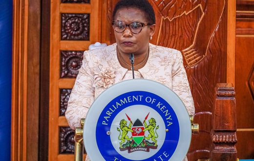 Kawira Mwangaza at the Senate during her impeachment hearing on August 19, 2024