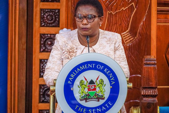 Kawira Mwangaza at the Senate during her impeachment hearing on August 19, 2024