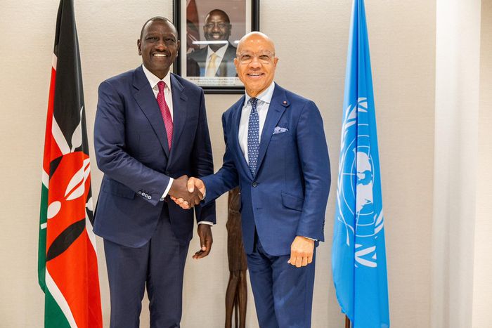 President William Ruto meets Ford Foundation President Darren Walker in U.S.