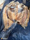 Sun-dried tilapia locally known as Obambla or Obambo