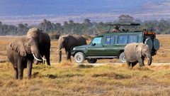 Tourists at Maasai Mara National Game Reserve