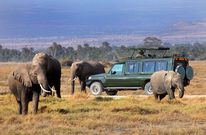 Tourists at Maasai Mara National Game Reserve