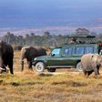 Tourists at Maasai Mara National Game Reserve