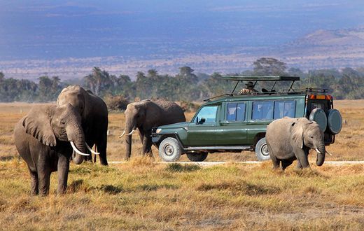 Tourists at Maasai Mara National Game Reserve