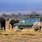 Tourists at Maasai Mara National Game Reserve
