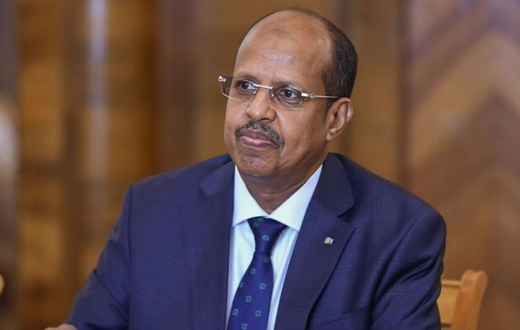 Profile of Djibouti’s Mahamoud Ali Youssouf contesting against Raila for AUC Chairperson