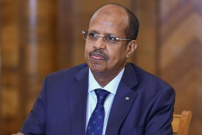 Profile of Djibouti’s Mahamoud Ali Youssouf contesting against Raila for AUC Chairperson