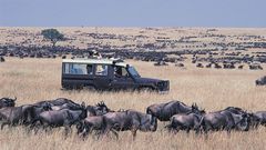 Tourists enjoying time at the Maasai Game Reserve