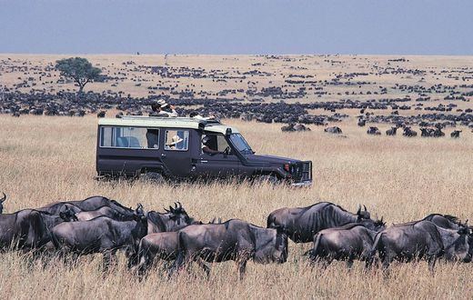 Tourists enjoying time at the Maasai Game Reserve