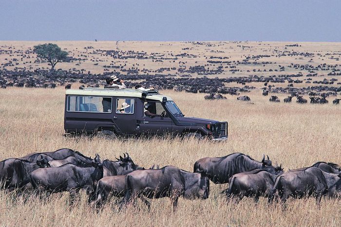Tourists enjoying time at the Maasai Game Reserve