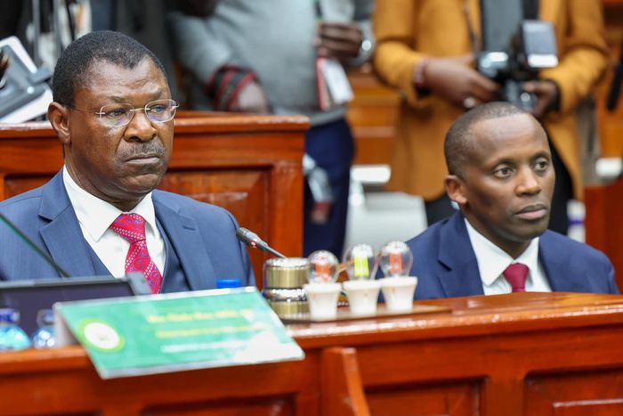 National Assembly Speaker Moses Wetangula