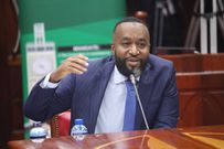 Hassan Joho appeared before the National Assembly Committee on Appointments