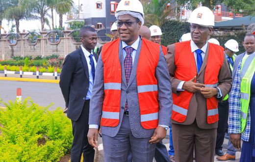 Cabinet Secretary for Energy and Petroleum, Opiyo Wandayi.