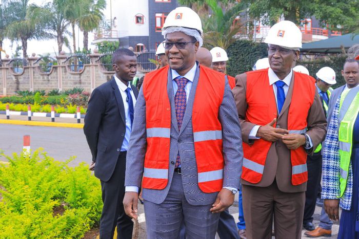 Cabinet Secretary for Energy and Petroleum, Opiyo Wandayi.