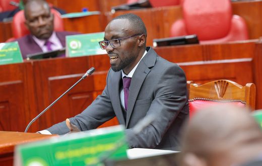 Eric Mugaa, the nominee for Cabinet Secretary for Water and Irrigation, appeared before the National Assembly Committee on Appointments for vetting.