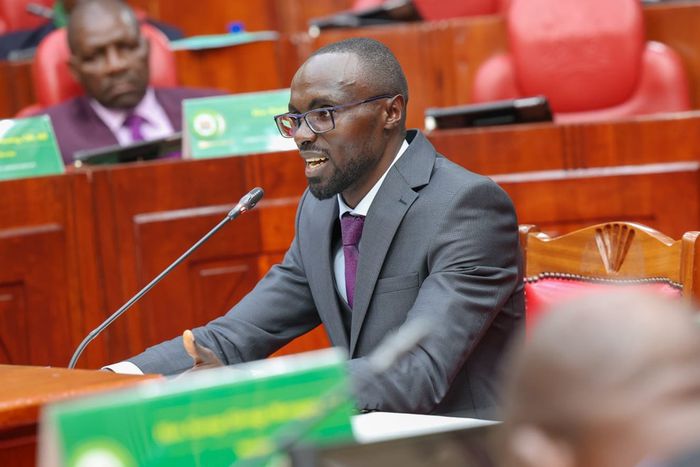Eric Mugaa, the nominee for Cabinet Secretary for Water and Irrigation, appeared before the National Assembly Committee on Appointments for vetting.