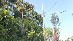 Billionaire Jimi Wanjigi raises alarm over cars with complex tech surveilling his family