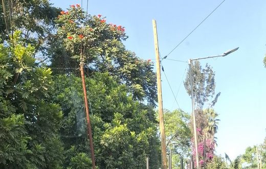 Billionaire Jimi Wanjigi raises alarm over cars with complex tech surveilling his family