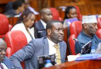Senator Edwin Sifuna during a session of the Senate Committee on Roads, Transportation and Housing